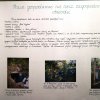 Kawałek historii